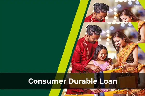Consumer Durable loan